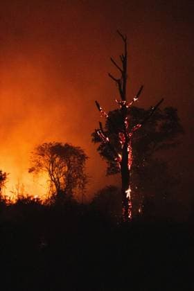 October 6, 2026, Jambi, Indonesia: JAMBI, INDONESIA, OCTOBER 6, 2026: Firefighters battle a land fire burning through trees and vegetation in the Penyengat Rendah area of Jambi City, as local residents observe the blaze. Forest and land fires across parts of Jambi and Sumatra continue to affect air quality and raise environmental concerns during the dry season. Jambi Indonesia  - ZUMAq101 20261006_zna_q101_122 Copyright: xPrabanndaruxWahyuajix