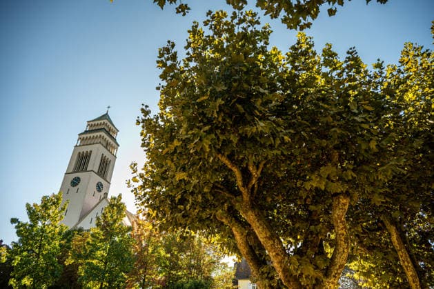 Sunshine Instead of Autumn Gray: Kehl Enjoys Mild October Weather; Sunny and, for this time of year, mild autumn weather on W Copyright: x xonw-imagesx x-x