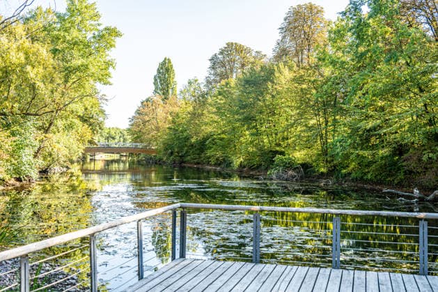 Sunshine Instead of Autumn Gray: Kehl Enjoys Mild October Weather; Sunny and, for this time of year, mild autumn weather on W Copyright: x xonw-imagesx x-x