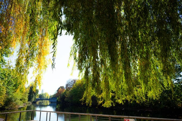 Sunshine Instead of Autumn Gray: Kehl Enjoys Mild October Weather; Sunny and, for this time of year, mild autumn weather on W Copyright: x xonw-imagesx x-x
