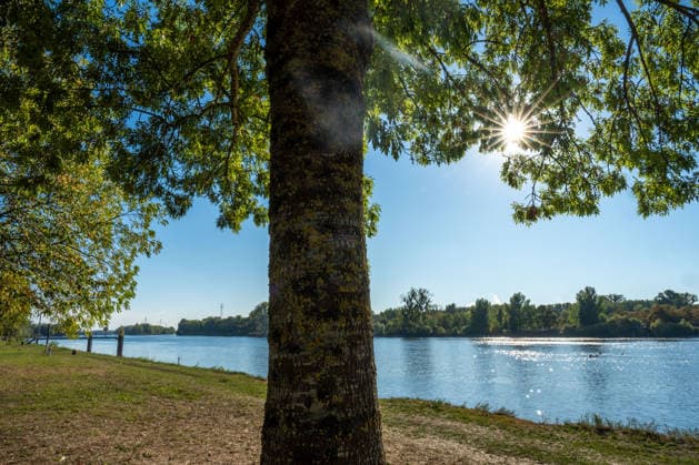 Sunshine Instead of Autumn Gray: Kehl Enjoys Mild October Weather; Sunny and, for this time of year, mild autumn weather on W Copyright: x xonw-imagesx x-x