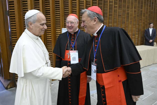 Pope Leo XIV Leads The Meeting ‘Ten years After Amoris laetitia’ - Vatican Pope Leo XIV greets cardinal Mario Grech (Malta) during the meeting ‘Ten years after Amoris laetitia’ at the Vatican on October 7, 2026. Pope Leo XIV convoked a meeting with the heads of the Eastern Churches and the Presidents of the Bishops Conferences on the occasion of the 10th anniversary of Amoris Laetitia. Pope Leo XIV encouraged Bishops from around the world to share what has emerged in their Churches over the ten years since the publication of Pope Francis’ Apostolic Exhortation on love in the family ‘Amoris laetitia’, and urged them to courageously confront the questions and difficulties that families face today. Photo by (EV) Simone Risoluti Vatican Medial  Copyright: xABACAx