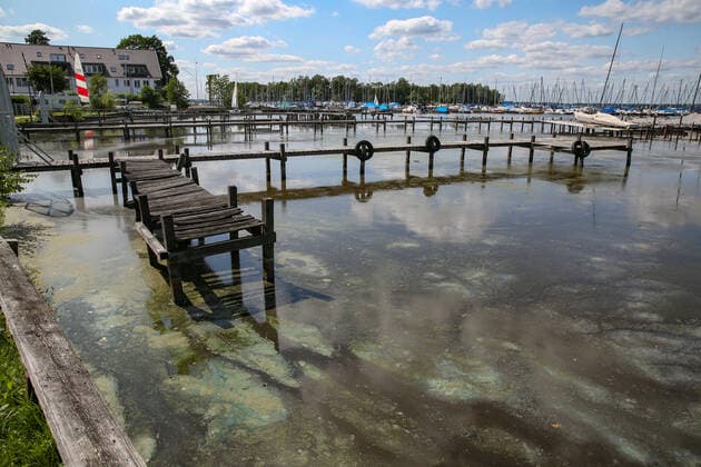 Lower Saxony imposes a ban on swimming in Lake Steinhude due to blue-green algae – archive images