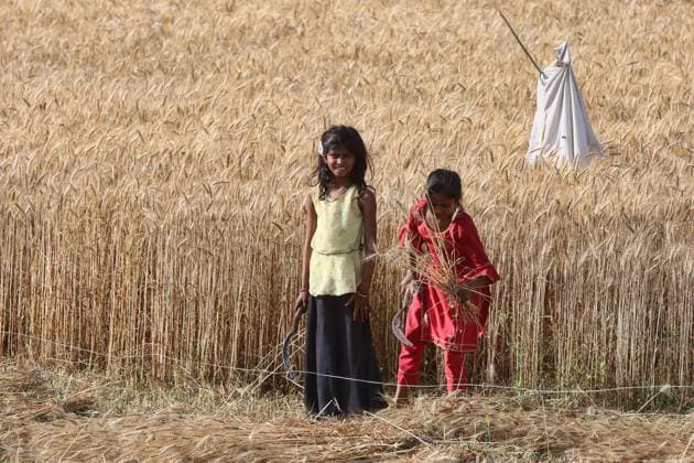 International Day against Child Labour on 12 June