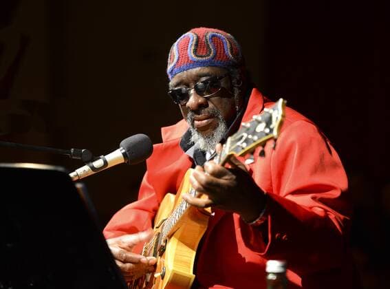 Jazz guitarist James Blood Ulmer died