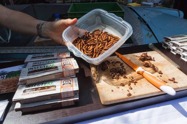 World Edible Insects Day on 23 October