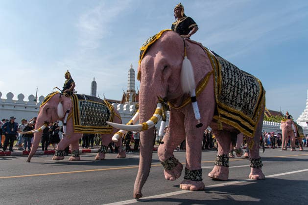 Thailand, Mahouts and elephants pay their respects to Queen Mother Sirikit in Bangkok