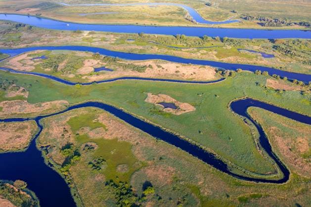 Brandenburg: The Lower Oder Valley National Park is drying up – archive photos