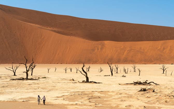 World Day to Combat Desertification and Drought on 17 June