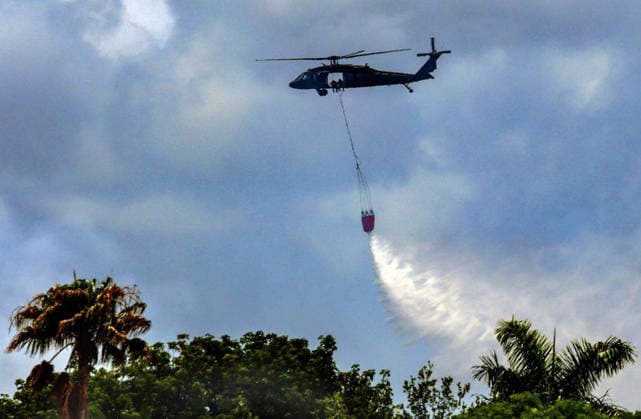 USA, forest fire in Florida