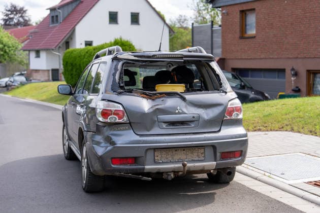 Hesse, damage caused by escaped young bulls in Brachttal-Hellstein