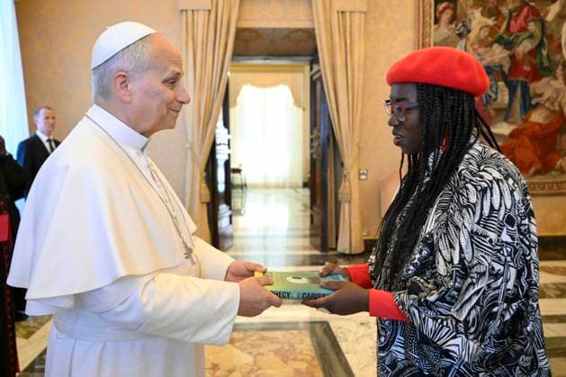 Vatican, audience with Pope Leo XIV.