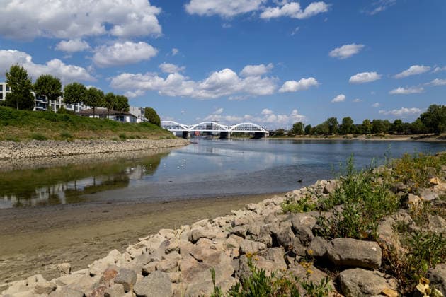 Rhineland-Palatinate: Low water levels on the Rhine – scenes from Ludwigshafen