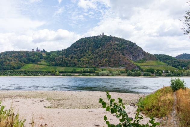 North Rhine-Westphalia: Rhine water level at record low in Bonn