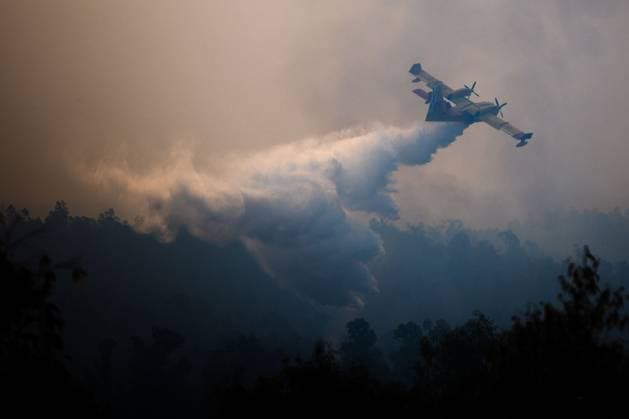 Spain, forest fire in Niebla near Huelva