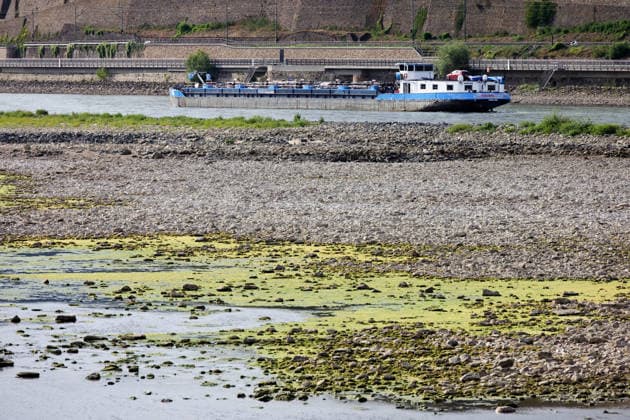 Rhineland-Palatinate, Low water levels in the Rhine at Bingen