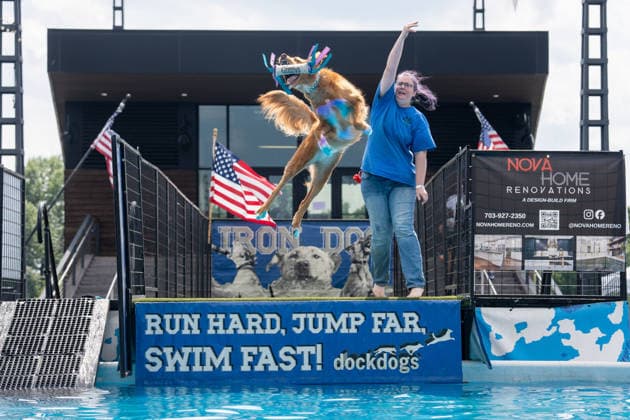 USA, DockDogs Big Air competition in Washington DC