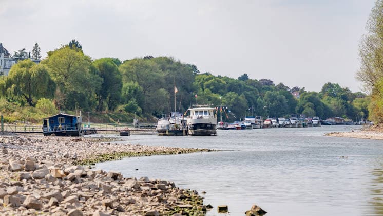 North Rhine-Westphalia, Low water levels in the Rhine at Bornheim-Hersel