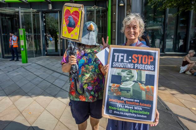 UK: Protest against the shooting of pigeons at TfL sites in Stratford