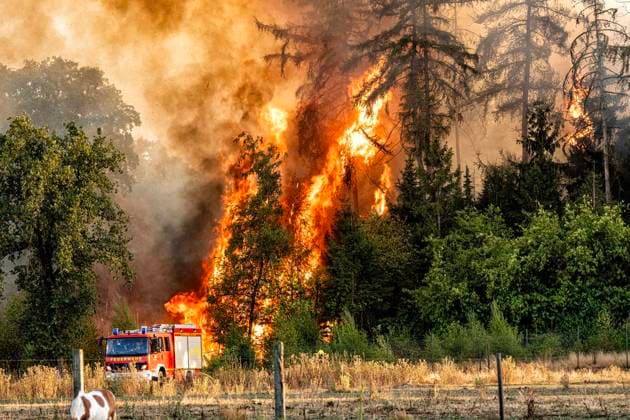 North Rhine-Westphalia, forest fire near Sonsbeck-Labbeck