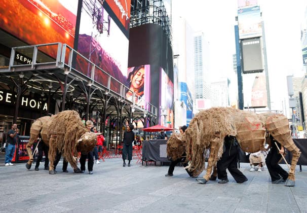 Arts: Life-size buffalo sculptures in Times Square