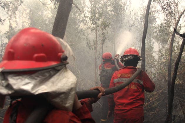 Indonesia, forest fires in South Sumatra
