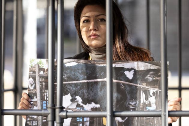 Bulgaria: Environmental activists are staging a two-week cage protest in Sofia