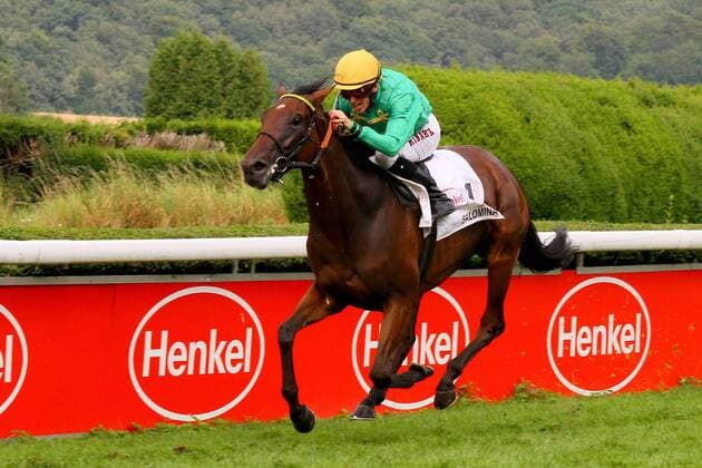 05.08.2012, Düsseldorf, Nordrhein-Westfalen, GER - Salomina mit Filip Minarik gewinnt den Preis der Diana. Galopprennbahn Düsseldorf-Grafenberg. (Pferd, Jockey, Salomina, Minarik, Sieg, Ziel, Zielankunft, Düsseldorf) 939S050812DUESSELDORF