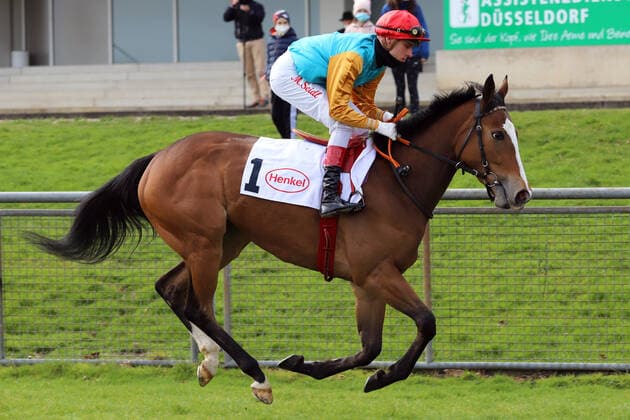 28 03 2021, Duesseldorf, North Rhine Westphalia, GER Diadora with Martin Seidl at the gallop at the racecourse Duesseldorf Grafenberg horse, jockey, Diadora, Seidl, gallop 210328SG907DUESSELDORF JPG