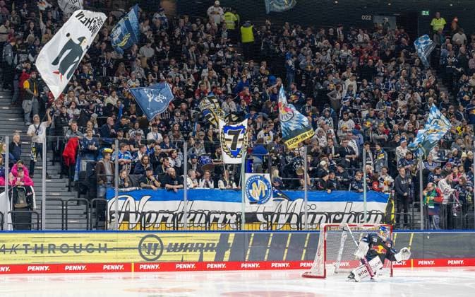 The Munich fans in the North Curve behind Mathias Niederberger Goalkeeper, EHC Red Bull Muenchen, 35 GER, EHC Red Bull Muenchen vs ERC Ingolstadt, Ice Hockey, DEL, Matchday 24, Season 2024 2025, 08 12 2024 GER, EHC Red Bull Muenchen vs ERC Ingolstadt, Ice Hockey, DEL, Matchday 24, Season 2024 2025, 08 12 2024 Muenchen Copyright: xEibner-Pressefoto HeikexFeinerx EP_HFR