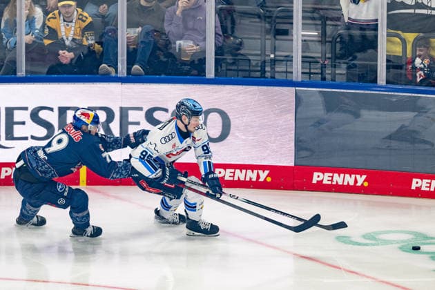 Fight for the puck duel between Philipp Krening EHC Red Bull Muenchen, 79 and Philipp Preto ERC Ingolstadt, 95 GER, EHC Red Bull Muenchen vs ERC Ingolstadt, Ice Hockey, DEL, Playoffs, Quarterfinals Game 5, Season 2025 2026, 02 04 2026 GER, EHC Red Bull Muenchen vs ERC Ingolstadt, Ice Hockey, DEL, Playoffs, Quarterfinals Game 5, Season 2025 2026, 02 04 2026 Muenchen Copyright: xEibner-Pressefoto FranzxFeinerx EP_HFR