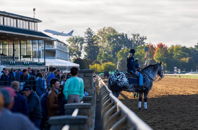 HORSE RACING 2026: Coolmore Turf Mile Day Keeneland OCT 03 October 3, 2026, USA: Scenes from Coolmore Turf Mile Day on October 3, 2026. Candice Chavez Eclipse Sportswire CSM(Credit Image: Â {Serial Cal Media) USA EDITORIAL USE ONLY Copyright: xx ZUMA-20261003_faf_cs17_001.jpg {Serialx csmphotothree529023