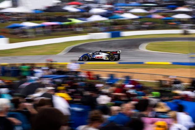 AUTO - IMSA - PETIT LE MANS 2026 10 ALBUQUERQUE Filipe (prt), STEVENS Will (gbr), TAYLOR Ricky (usa), Cadillac Wayne Taylor Racing, Cadillac V-Series.R, action during the 2026 Motul Petit Le Mans, 11th round of the 2026 IMSA WeatherTech SportsCar Championship, from October 1 to 3, 2026 on the Michelin Raceway Road Atlanta in Braselton, Georgia, United States of America - BraseltonUnited States Copyright: xFabrizioxBoldonix
