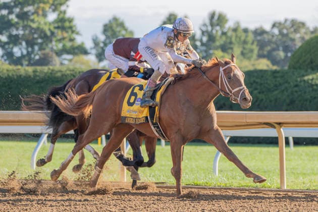 October 3, 2026, Lexington, Kentucky, USA: American History (6) ridden by John Velazquez wins the Claiborne Breeders Futurity (Grade 1) on October 3, 2026. Jessica Morgan Eclipse Sportswire CSM HORSE RACING 2026: Breeders Futurity WAYI Keeneland OCT 03  - ZUMAcs17 20261003_faf_cs17_148 Copyright: x01354200x