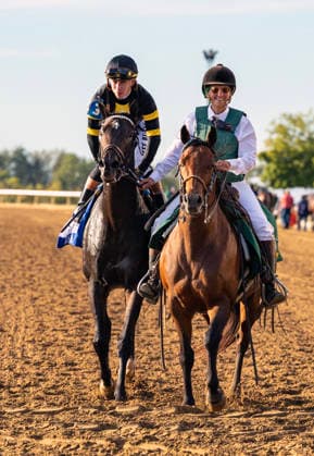 October 3, 2026, Lexington, Ky, USA: Rhetorical (3) ridden by Irad Ortiz Jr. wins the Coolmore Turf Mile on October 3, 2026. Candice Chavez Eclipse Sportswire CSM Lexington USA - ZUMAcs17 20261003_faf_cs17_155 Copyright: x {Serialx