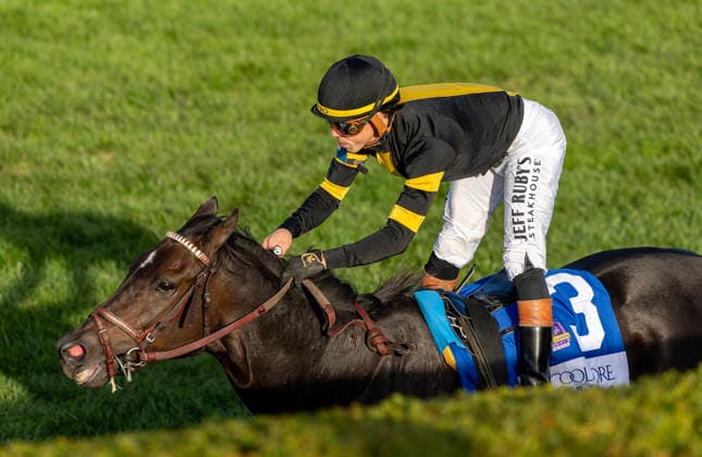 October 3, 2026, Lexington, Ky, USA: Rhetorical (3) ridden by Irad Ortiz Jr. wins the Coolmore Turf Mile on October 3, 2026. Candice Chavez Eclipse Sportswire CSM Lexington USA - ZUMAcs17 20261003_faf_cs17_140 Copyright: x {Serialx