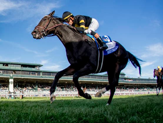 October 3, 2026, Lexington, Ky, USA: Rhetorical (3) ridden by Irad Ortiz, Jr. wins the Coolmore Turf Mile Stakes (Grade 1) at Keeneland in Lexington, Kentucky on October 3, 2026. Eclipse Sportswire CSM Lexington USA - ZUMAcs17 20261003_faf_cs17_149 Copyright: xCaseyxLaughterx