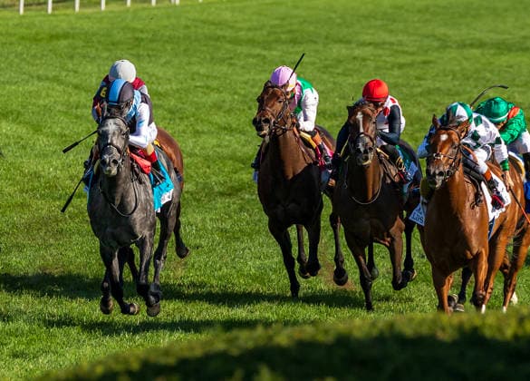 HORSE RACING 2026: Coolmore Turf Mile Day Keeneland OCT 03 October 3, 2026, USA: Classic Q (9) ridden by John Velazquez wins the First Lady on Coolmore Turf Mile Day on October 3, 2026. Candice Chavez Eclipse Sportswire CSM(Credit Image: Â {Serial Cal Media) USA EDITORIAL USE ONLY Copyright: xx ZUMA-20261003_faf_cs17_253.jpg {Serialx csmphotothree529675