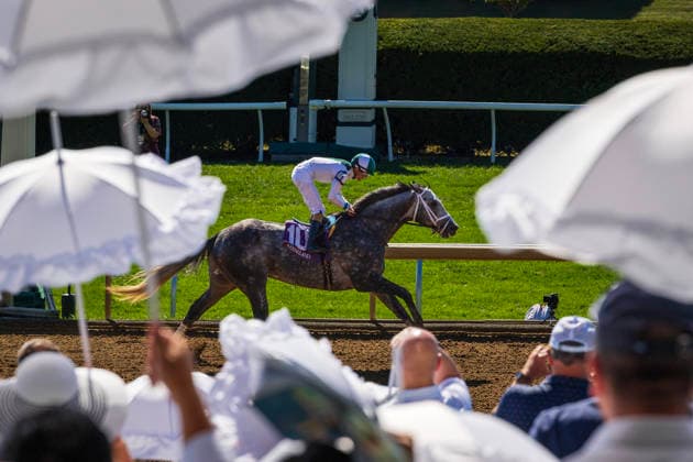 HORSE RACING 2026: Coolmore Turf Mile Day Keeneland OCT 03 October 3, 2026, USA: Who Dey (10) ridden by Brian Hernandez Jr. wins an Allowance on Coolmore Turf Mile Day on October 3, 2026. Candice Chavez Eclipse Sportswire CSM(Credit Image: Â {Serial Cal Media) USA EDITORIAL USE ONLY Copyright: xx ZUMA-20261003_faf_cs17_260.jpg {Serialx csmphotothree529769