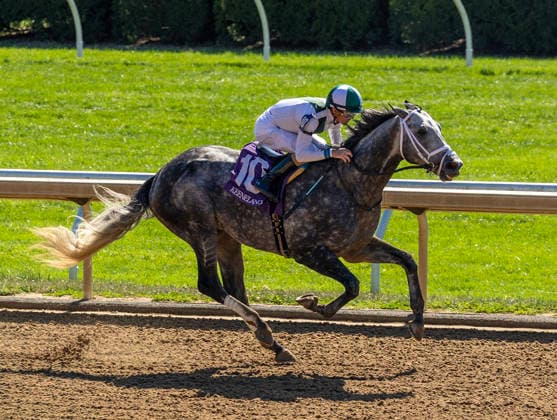 HORSE RACING 2026: Coolmore Turf Mile Day Keeneland OCT 03 October 3, 2026, USA: Who Dey (10) ridden by Brian Hernandez Jr. wins an Allowance on Coolmore Turf Mile Day on October 3, 2026. Candice Chavez Eclipse Sportswire CSM(Credit Image: Â {Serial Cal Media) USA EDITORIAL USE ONLY Copyright: xx ZUMA-20261003_faf_cs17_258.jpg {Serialx csmphotothree529771