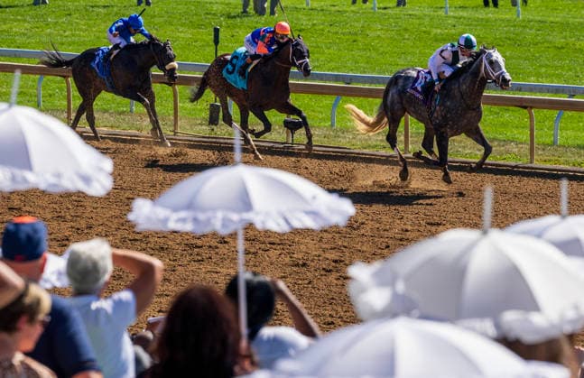HORSE RACING 2026: Coolmore Turf Mile Day Keeneland OCT 03 October 3, 2026, USA: Who Dey (10) ridden by Brian Hernandez Jr. wins an Allowance on Coolmore Turf Mile Day on October 3, 2026. Candice Chavez Eclipse Sportswire CSM(Credit Image: Â {Serial Cal Media) USA EDITORIAL USE ONLY Copyright: xx ZUMA-20261003_faf_cs17_256.jpg {Serialx csmphotothree529773