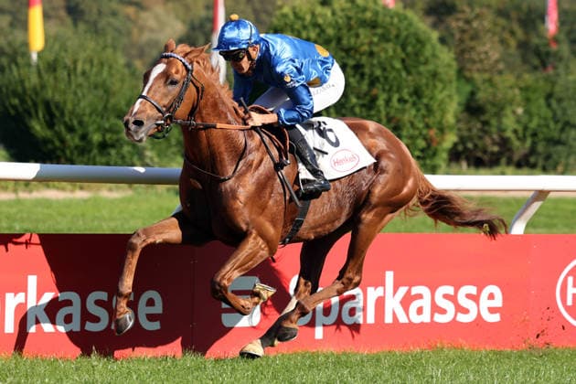 October 4, 2026, Düsseldorf, North Rhine-Westphalia, GER Daytona with Bauyrzhan Murzabayev wins at the Düsseldorf Grafenberg Racetrack Horse, jockey, Daytona, Murzabayev, victory, finish line, finish 261004SG789DUESSELDORF JPG