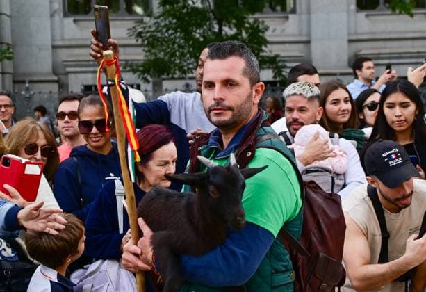 October 19, 2025, Madrid, Madrid, SPAIN: Madrid celebrates the traditional Transhumance Day, when hundreds of sheep and shepherds walk through the historic city center following the ancient droversâ€⠢ routes. The event highlights transhumance as both a cultural and environmental heritage, with flocks passing through Puerta del Sol, Plaza de Cibeles, and other emblematic streets, accompanied by shepherds in traditional attire and folk music. Madrid SPAIN - ZUMAz108 20251019_znp_z108_012 Copyright: xRichardxZubelzux