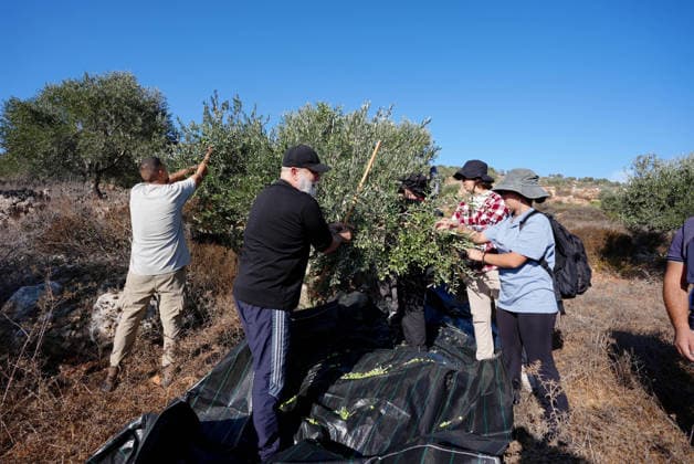 Israeli forces injure Palestinian farmer during raids on olive farms NABLUS, WEST BANK, PALESTINE - OCTOBER 2: Palestinian farmers, supported by local and international solidarity activists, harvest olives in agricultural groves in the town of Beita, before the Israeli settlers, under the protection of Israeli forces, intervene against an olive-picking event organized by Palestinians and a group of activists in Nablus, West Bank, Palestine on October 02, 2026. Israeli settlers beat the 46-year-old Palestinian man in the town of Beita, south of Nablus, according to the Palestinian Red Crescent Society. Witnesses told Anadolu that a group of Israeli settlers fired stun grenades and tear gas at farmers in the Jabal al-Arma area, forcing them t Copyright: x2026xAnadoluxIssamxRimawix