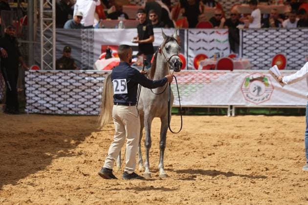 October 2, 2026, Hebron, Palestine, State of: HEBRON, OCCUPIED WEST BANK, OCTOBER 2, 2026: Palestinian riders and horse breeders take part in a three-day Arabian horse beauty show in Hebron, featuring around 300 purebred Arabian horses. Participants from across the West Bank, Jerusalem and Palestinian communities inside Israel gathered for the event, which showcases the characteristics and bloodlines of Arabian horses and promotes horse breeding and equestrian competitions. Organizers and participants hope the event will help develop the Arabian horse show scene in Palestine and create opportunities for riders and breeders to participate in international competitions. Hebron Palestine, State of - ZUMAq101 20261002_zna_q101_206 Copyright: xMosabxShawerx