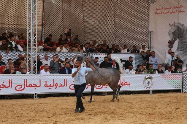October 2, 2026, Hebron, Palestine, State of: HEBRON, OCCUPIED WEST BANK, OCTOBER 2, 2026: Palestinian riders and horse breeders take part in a three-day Arabian horse beauty show in Hebron, featuring around 300 purebred Arabian horses. Participants from across the West Bank, Jerusalem and Palestinian communities inside Israel gathered for the event, which showcases the characteristics and bloodlines of Arabian horses and promotes horse breeding and equestrian competitions. Organizers and participants hope the event will help develop the Arabian horse show scene in Palestine and create opportunities for riders and breeders to participate in international competitions. Hebron Palestine, State of - ZUMAq101 20261002_zna_q101_203 Copyright: xMosabxShawerx