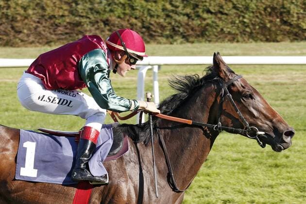 31 08 2019, Iffezheim, Baden Wuerttemberg, GER Amorella with Martin Seidl wins the T von Zastrow mare price racecourse Baden Baden, Iffezheim horse, Jockey, Amorella, Seidl, victory, finish, finish 190831D536IFFEZHEIM JPG