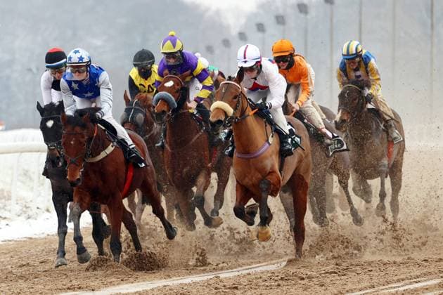 22 01 2023, Dortmund, North Rhine Westphalia, GER Horses and jockeys racing on sand track Galopprennbahn Dortmund Wambel horses, jockeys, winter, snow, snowy, sand track, dirt, dirt track, gallop, gallop racing, horse racing, horse racing, gallop racing, crowd, bow 230122SG916DORTMUND JPG