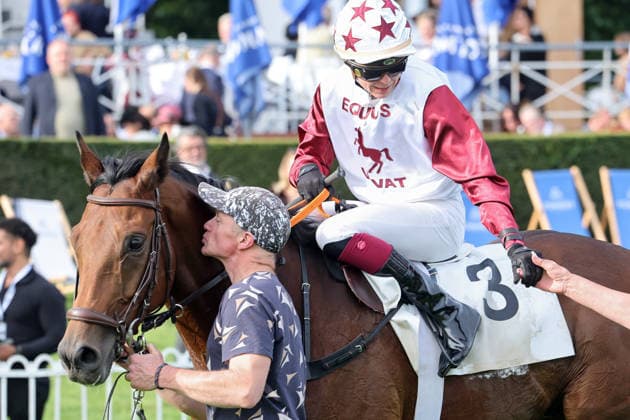 September 19, 2026, Hoppegarten, Brandenburg, GER A kiss from horse handler Jens Sidow for Amigo Charly after his victory with Michaela Malacova at the Hoppegarten Racetrack; horse, jockey, Amigo Charly, Malacova, victory, groom, kiss, kissing, Sidow 260919D516HOPPEGARTEN JPG