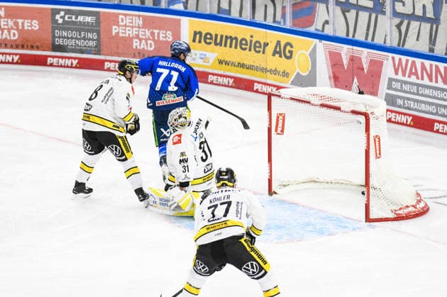 Straubing Tigers vs. Krefeld Pinguine, Ice Hockey, German Ice Hockey League, Penny DEL, Matchday 1, 2026–2027 Season, September 23, 2026: Nicholas Halloran of the Straubing Tigers beats Felix Bick of the Krefeld Pinguine, Men’s Ice Hockey, German Ice Hockey League, Penny DEL, Matchday 1, 2026–2027 Season on September 20, 2026, at the Eisstadion am Pulverturm, Straubing Tigers (blue) vs. Krefeld Pinguine (white)